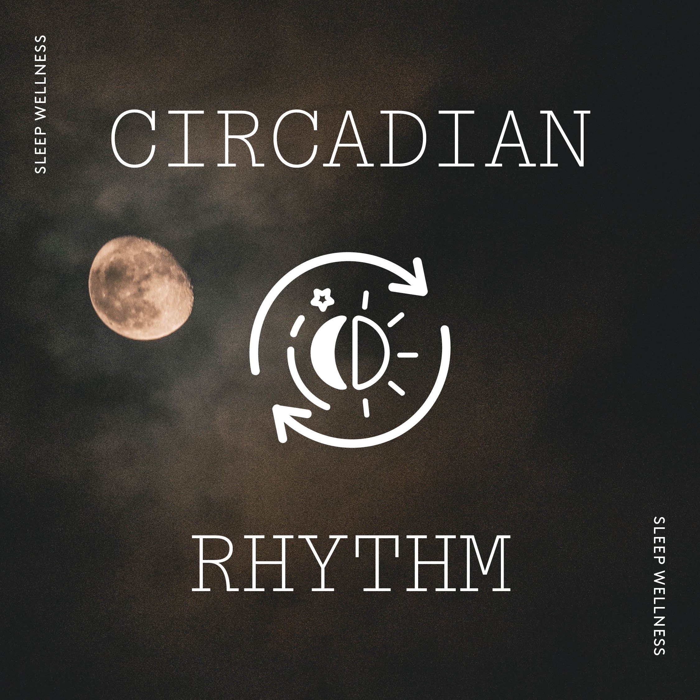 The Circadian Rhythm LOOP HOME