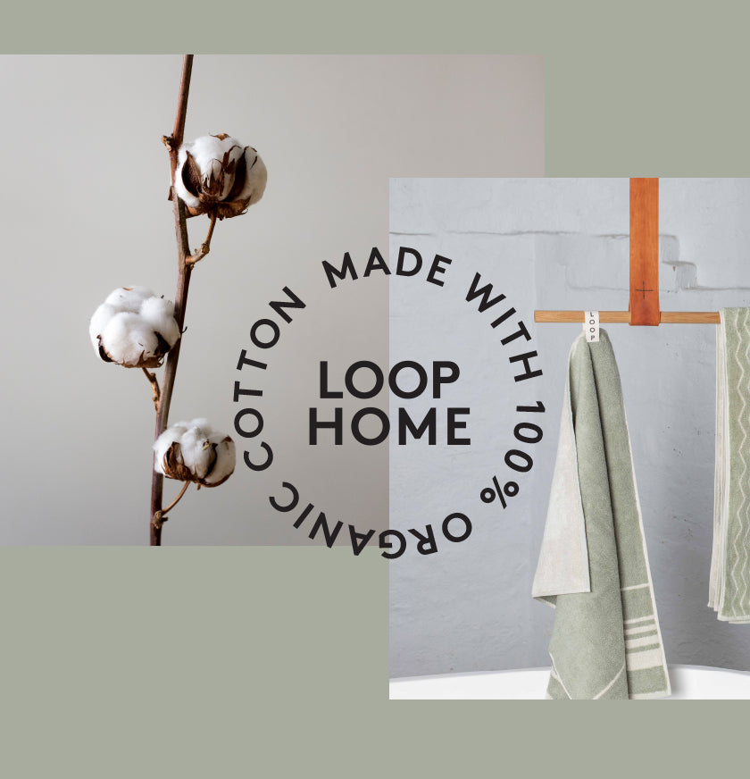Loop Home GOTS organic cotton towels featured with cotton plant